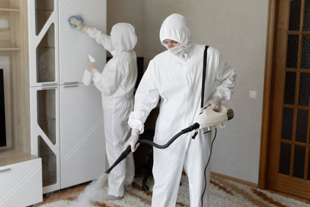 Best Mold Damage Restoration  in Elizabethville, PA