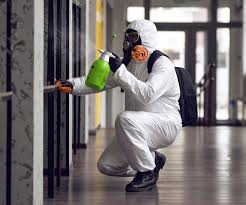 Best Black Mold Removal  in Elizabethville, PA